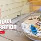 Fish Bowl Decoration - Hyderabad event image