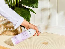 Moisten a sponge in this solution and dab it on the stain a few times. 8 Effective Steps For Getting Dog Poop Out Of Carpet