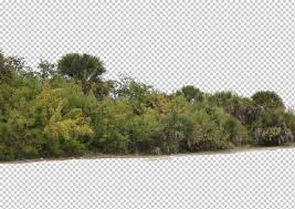 View From By Gobotree Including Cutout Plants Vegetation Tree In 2020 Photoshop Landscape Tree Photoshop Landscape Architecture Graphics