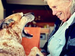 This woman, my mother, Suzanne Chick. Adopted out at birth, she dreamed of  finding who her birth mother was. At 48, when the adoption laws changed,  she discovered her mother was Australia's