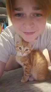 Orange tabby cat finds forever home