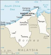 Do you like the services of your plumber or the warm welcome of the restaurant nearby? Brunei The World Factbook