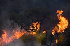 Se permite el consumo en barra y las actuaciones musicales pero no está permitido el baile. Carta Abierta Al Gobierno De Cordoba Por Los Reiterados Incendios Cdm Noticias