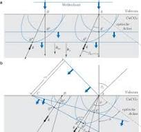 Polarisiertes Licht | SpringerLink