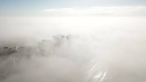 Check out their videos, sign up to chat, and join their community. Sea Fog It S Thinner Than You Think