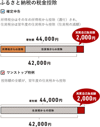 ふるさと納税で 住民税 はいくら安くなる ふるさと納税 ふるさとチョイス