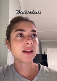 She hates me 😔 @Melissa Beale #roommates #shrek #pookie #notnowkitte...