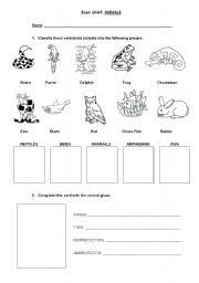 They complete worksheets on comparing. Vertebrate And Invertebrate Exercises Esl Worksheet By Yovily23