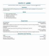 Car Driver Resume Format Doc Download Best Resume Examples