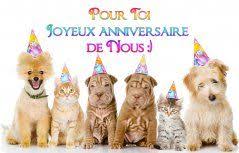 Cartes Virtuelles Joyeux Anniversaire Gratuites Joliecarte Com Joyeux Anniversaire Gratuit Carte Anniversaire Humoristique Joyeuse Anniversaire