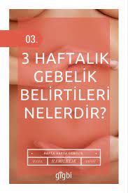 kapsamli ay ay ve hafta hafta tum hamilelik belirtileri listesi hamilelik rehber hafiz