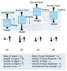 Archimedes Principle 4 Physics Experiments Force And Pressure Principles