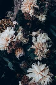 Black And White Floral Wallpaper Nz Pin By Maj Thosewefancy On Fashion Floral Photography Floral Wallpaper Dark Flowers