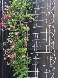 It is not very difficult to do the diy version of this trellis either. 20 Awesome Diy Garden Trellis Projects Hative