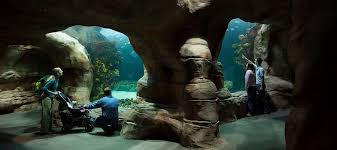 Exhibits Tennessee Aquarium Tennessee Aquarium Tennessee Aquarium Tennessee Zoo Chattanooga