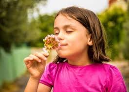 METSÄRYHMÄTOIMINNAN VUOSIKELLO