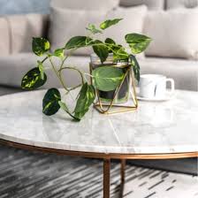 Wystfield white and brown rectangular end table. Steel Art Natural Marble Coffee Table Grey St05703 Gy