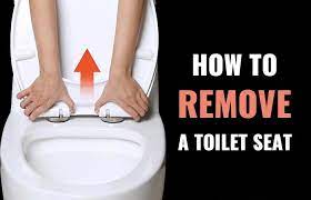 Heat the vinegar in the microwave for 1 minute and mix salt in it. How To Remove A Toilet Seat Hidden Fixings Metal Hinges No Screws Toiletseek