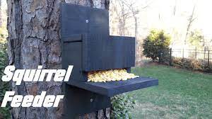 If you like this idea better than simply trying to hunt the little critters down which, to be honest sounds like it. Homemade Squirrel Feeder Youtube