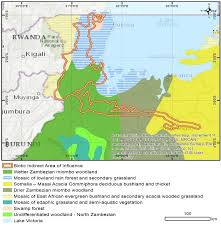 Image result for Blotiella trichosora