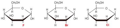 2dg differs from normal glucose only by removal of an oxygen atom from the hydroxyl group at the 2 position. Ijms Free Full Text 2 Deoxy D Glucose And Its Analogs From Diagnostic To Therapeutic Agents Html