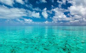 The beaches of belize are sunny and tranquil spots for a day of relaxation. Belize Diving Adventures Belize Diving Expert And Sea Tour Operator