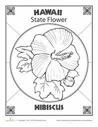 With unique postcards to color and puzzles to print, children from kindergarten to grade 5 can enjoy learning with 50 states worksheets. Hawaii State Flower Worksheet Education Com Hawaii Crafts Hawaii Hawaii Fun