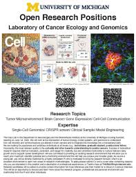 Sydney Dumont posted