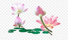 We did not find results for: Flowers Clipart Background