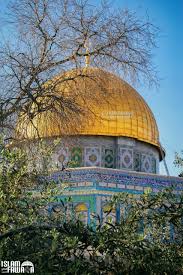 Yousuf Mayet Adli Kullanicinin فلسطين Palestine Panosundaki Pin Mekke Kudus