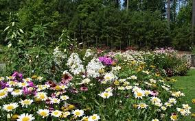 Remember to bring sunscreen, sunglasses, appropriate swim attire, Williamsburg Botanical Garden