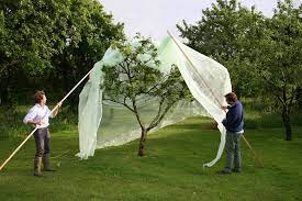 Free shipping on orders over $25 shipped by amazon. Fruit Tree Covers Haxnicks Gardening Products