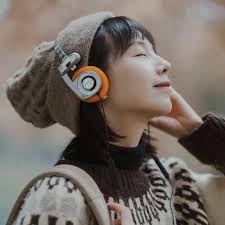 WhatPlus Retro Kablosuz Bluetooth Kulaklık Kulak İçi HIFI Ses Müzik ve  Seyahat için Katlanabilir Gürültü Önleyici Kulaklık