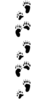 Animal Track Identification Guide Wildliferemoval Com Animal Tracks Bear Paw Print Wolf Tattoos For Women