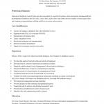 business analyst resume template