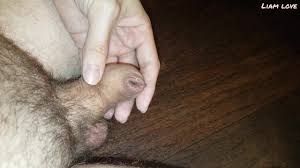 巨根勃起（弛緩ペニスのサイズが2倍）