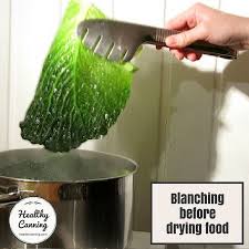 Hold up, take a step back, and admire that garden beauty if you grew it. Blanching Before Drying Food Healthy Canning