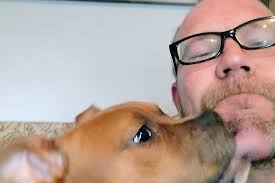 Fundraiser for Karissa Koivisto by Ryan Schreck : Please help Mattias's  wife and daughter after ICE raid!!!