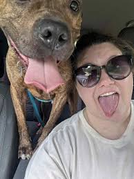 ❤️ADOPTED❤️ 💔 Link is still waiting… 💔 Link has spent far too much of his  young life inside the shelter walls. He's only about a year old, 58 pounds  and should be