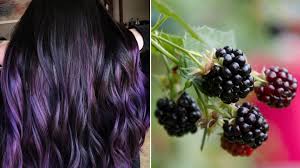 Your hair could be delicious when you turn up with dark purple! Blackberry Is The Stormy Sultry New Purple Hair Color Trend Allure