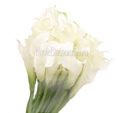 Mini gerbera daisies give the same whimsical feel of their larger counterparts with a smaller blooms that blends perfectly into a diy bouquet or arrangement. White Mini Calla Lilies Bridesmaid Bouquets Flower Bouquet Wedding Flowers