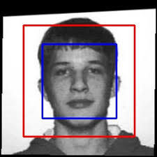 Jia, S., Lansdall-Welfare, T., & Cristianini, N. (2017). Gender  classification by deep learning