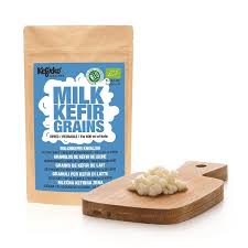 Grains De Kefir De Lait Deshydrates Bio 1g Kefirko