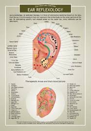 Amazon Com Ear Reflexology And Eft Two Sided Color