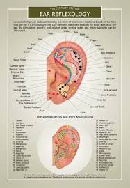 amazon com ear reflexology and eft two sided color