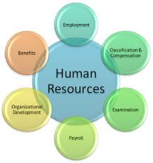 Home Human Resources Chicago State University
