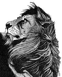 Pin By Lost Togethor On Art Lion Illustration Animal Drawings Drawing Artwork