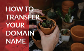 Transferring Domain Name Ownership Everything You Need To Know Domain Com Blog