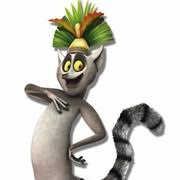 Who provides the voices for the madagascar characters? Madagascar Characters