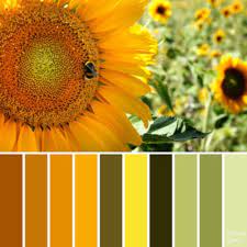 Color Schemes Coloring Queen Sunflower Colors Color Schemes Sunflower Room